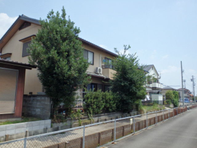 庭木の伐採 見積り費用や料金相場｜庭のお手入れ専門業者・造園