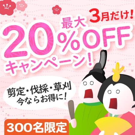 【先着300名様限定！】春に向けた準備にお得な剪定・伐採・草刈り最大20%オフキャンペーン！